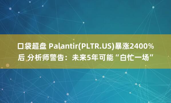 口袋超盘 Palantir(PLTR.US)暴涨2400%后 分析师警告：未来5年可能“白忙一场”