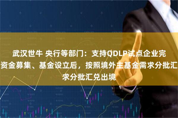 武汉世牛 央行等部门：支持QDLP试点企业完成境内资金募集、基金设立后，按照境外主基金需求分批汇兑出境