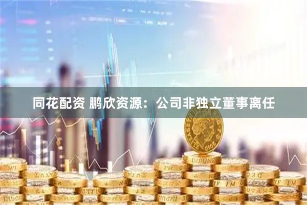 同花配资 鹏欣资源：公司非独立董事离任