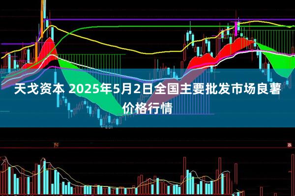天戈资本 2025年5月2日全国主要批发市场良薯价格行情